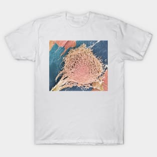 Bone marrow stem cell, SEM (C001/6592) T-Shirt